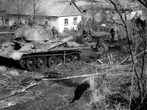 В Уманьской Операции, март 1944 г.